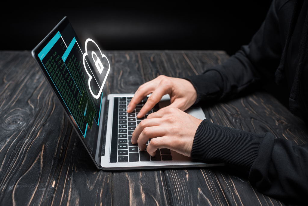 Junior Network Security Engineer